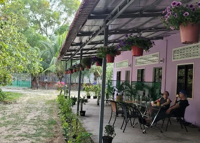 The Purple House *