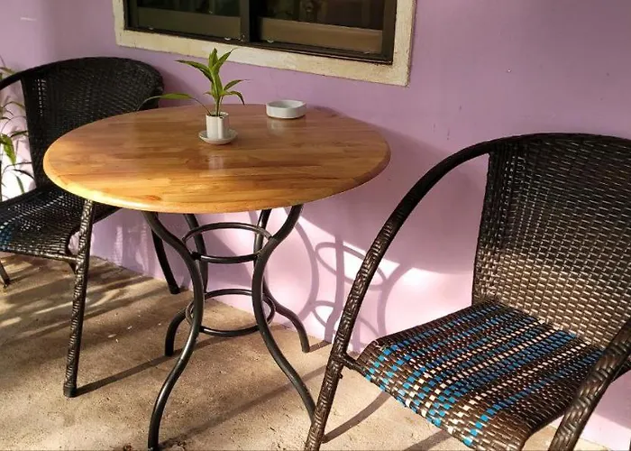 Kwatera prywatna The Purple House Siem Reap