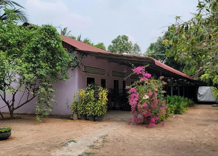 The Purple House Siem Reap